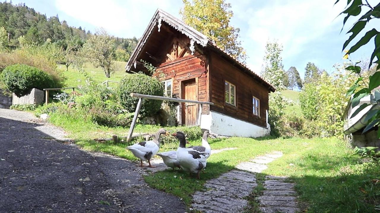 Апартаменты Haus Holler Вальгау Экстерьер фото